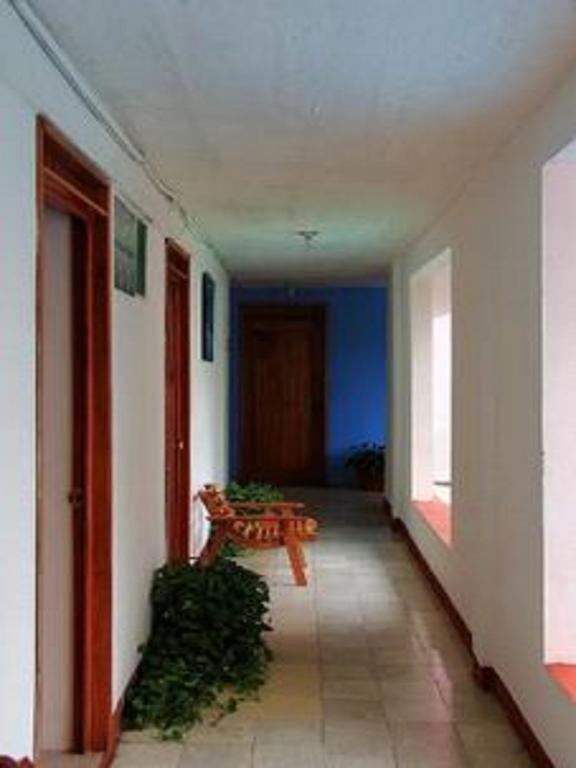 Hotel Mallorca Palenque Esterno foto